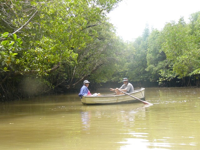 Khlong Pak Lao Pat-Jan dinghy in mangrove estuary